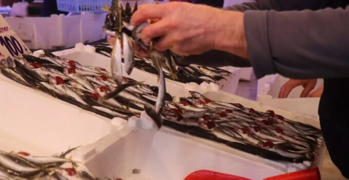 Hamsinin yokluğunu kapattı, fiyatı dibi gördü! Tezgahın en ucuzu