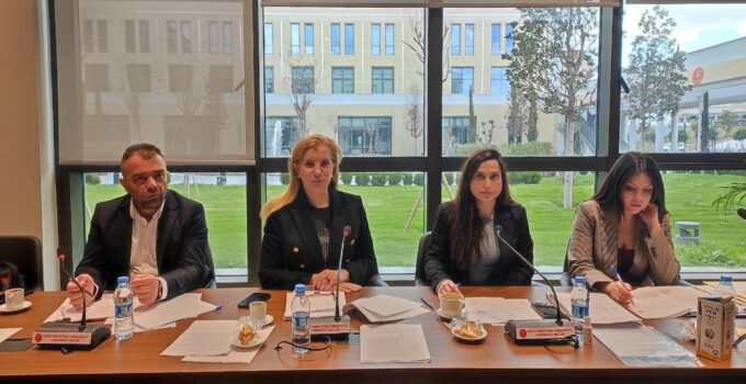 Ekonomi, Maliye, Bütçe ve Plan Komitesi, dört yasa tasarısını görüştü