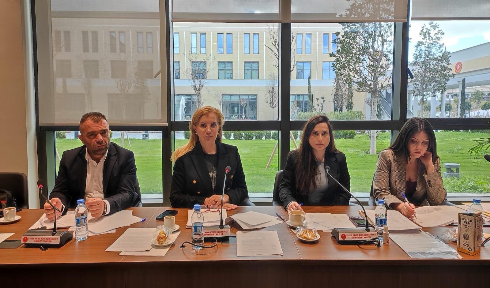 ekonomi maliye butce ve plan komitesi dort yasa tasarisini gorustu