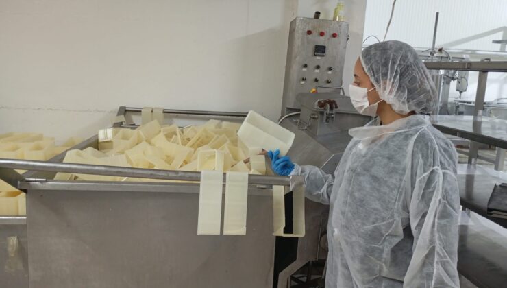 Değirmenlik-Akıncılar Belediyesi gıda denetimi: KKTC’de bir süt fabrikası mühürlendi