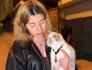 Arnavutköy’de Cins Kedi Hırsızlığı Olayı
