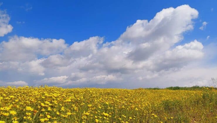 Hafta Boyunca İç Kesimlerde Hava 28-31°C Arasında