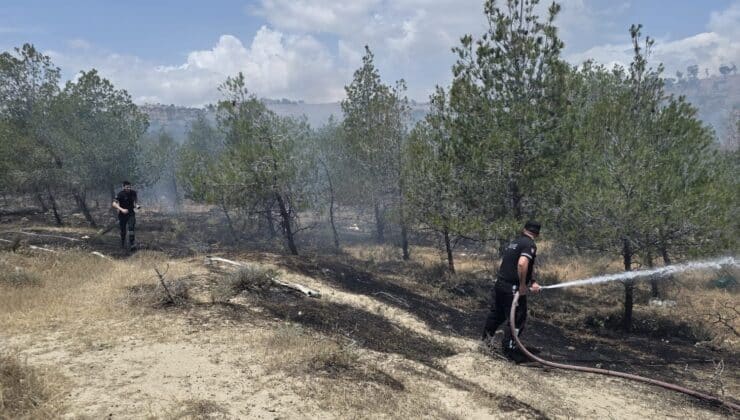 Haspolat-Güngör yolu yakınlarındaki ormanda çıkan yangında soğutma devam ediyor
