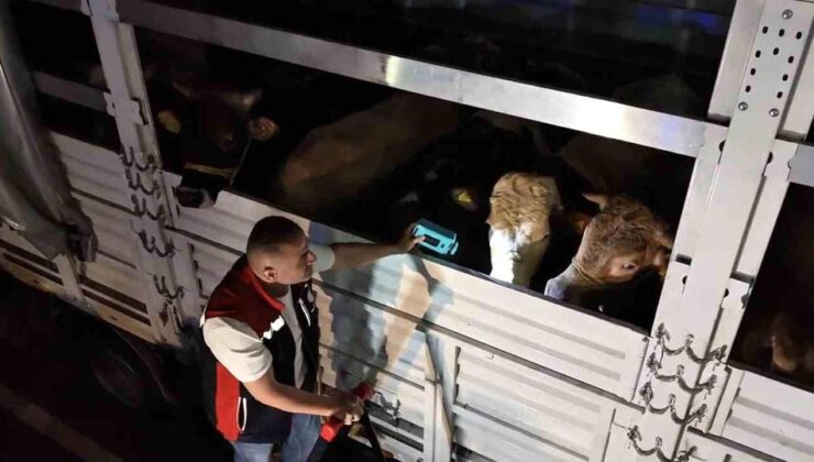 İstanbul’da Kurban Bayramı öncesi sevk noktalarında yoğunluk