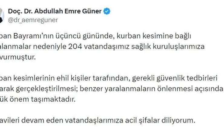 İstanbul’da Kurban Bayramı’nın 3. gününde 204 kişi yaralandı