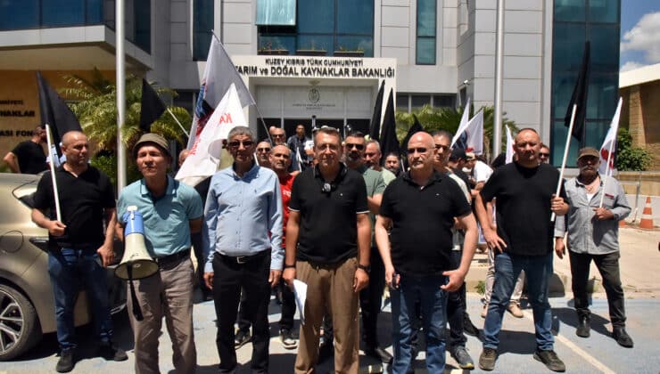 Kasaplar Birliği’nden KTEZO’ya destek çağrısı: Yerli ete teşvik