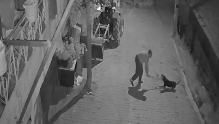 Köpeği tasmalı şekilde katleden cani tutuklandı