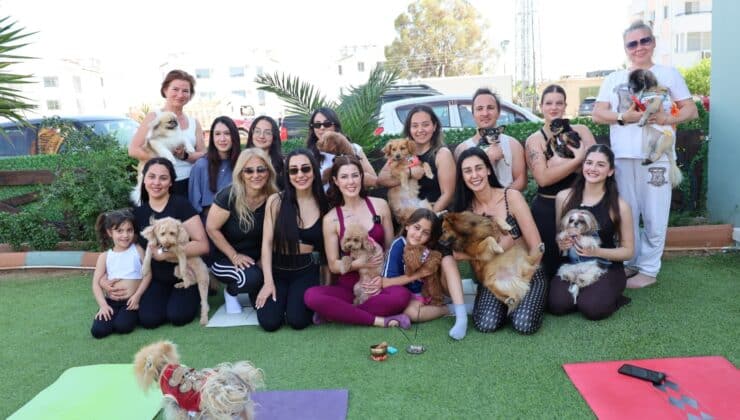 Lefkoşa’da Köpeklerle Yoga Etkinliği büyük ilgi çekti