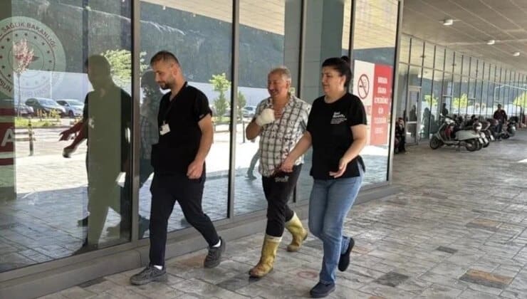 Türkiye’de Kurban Kesimi Sırasında 13 Bin 513 Kişi Hastanelik Oldu