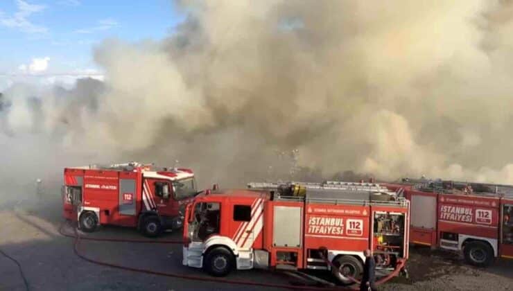 Ümraniye’de Hayvan Barınağı Yakınında Çıkan Yangın korkuttu