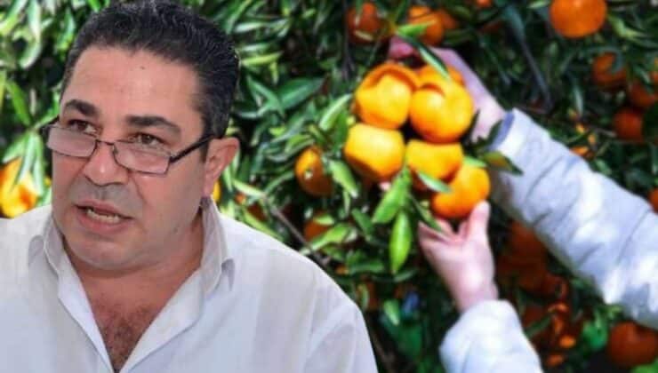 Alioğlu’ndan Tarım Bakanlığı ve Cypruvex’e acil çağrı