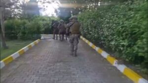 Askerî personel yeşil alan arasındaki kapalı yolda zırhlı araçların önünde yürürken görüntüleniyor.