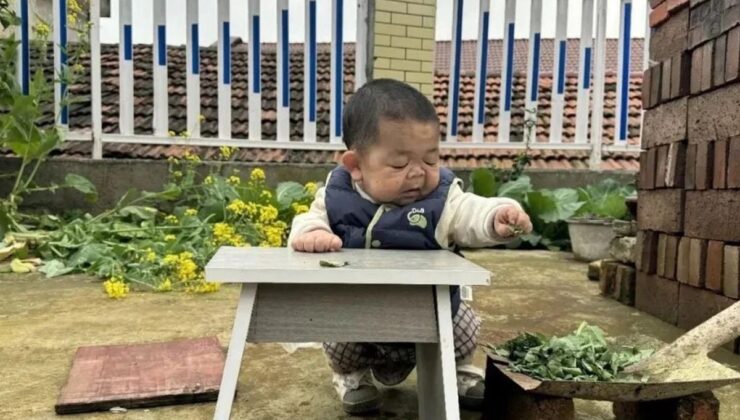 Çinli Wang’ın bebek boyutlarındaki yaşam öyküsü