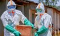 Ebola virüsü sınırları aşıyor, dünya alarma geçti