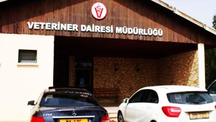 Gazimağusa Mezbahası’nda ciddi eksiklikler belirlendi