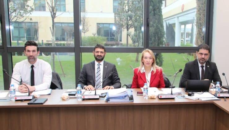İdari, Kamu ve Sağlık Komitesi yasa tasarısını görüştü