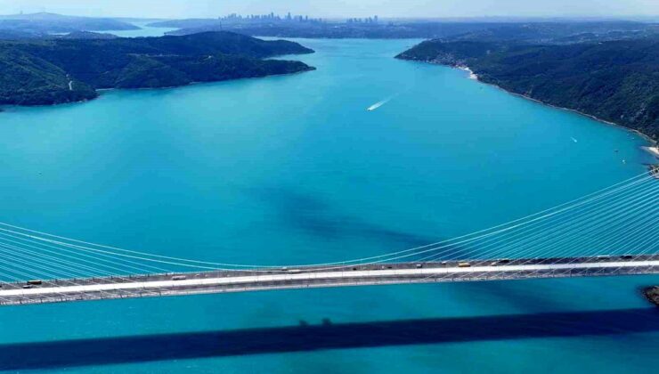 İstanbul Boğazı’nda turkuaz sulara yunus akını