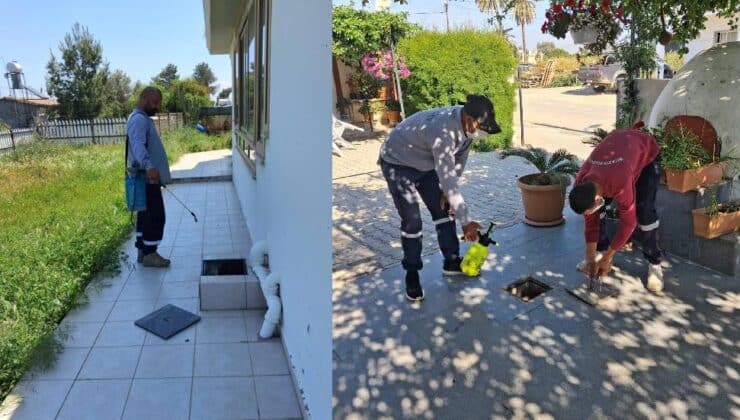 Mesarya Belediyesi Haşereyle Mücadeleyi Sürdürüyor
