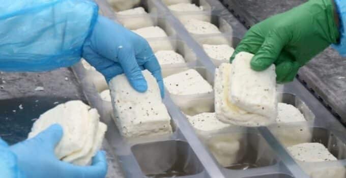 Rum besiciler hellimde süt oranı değişikliğine karşı