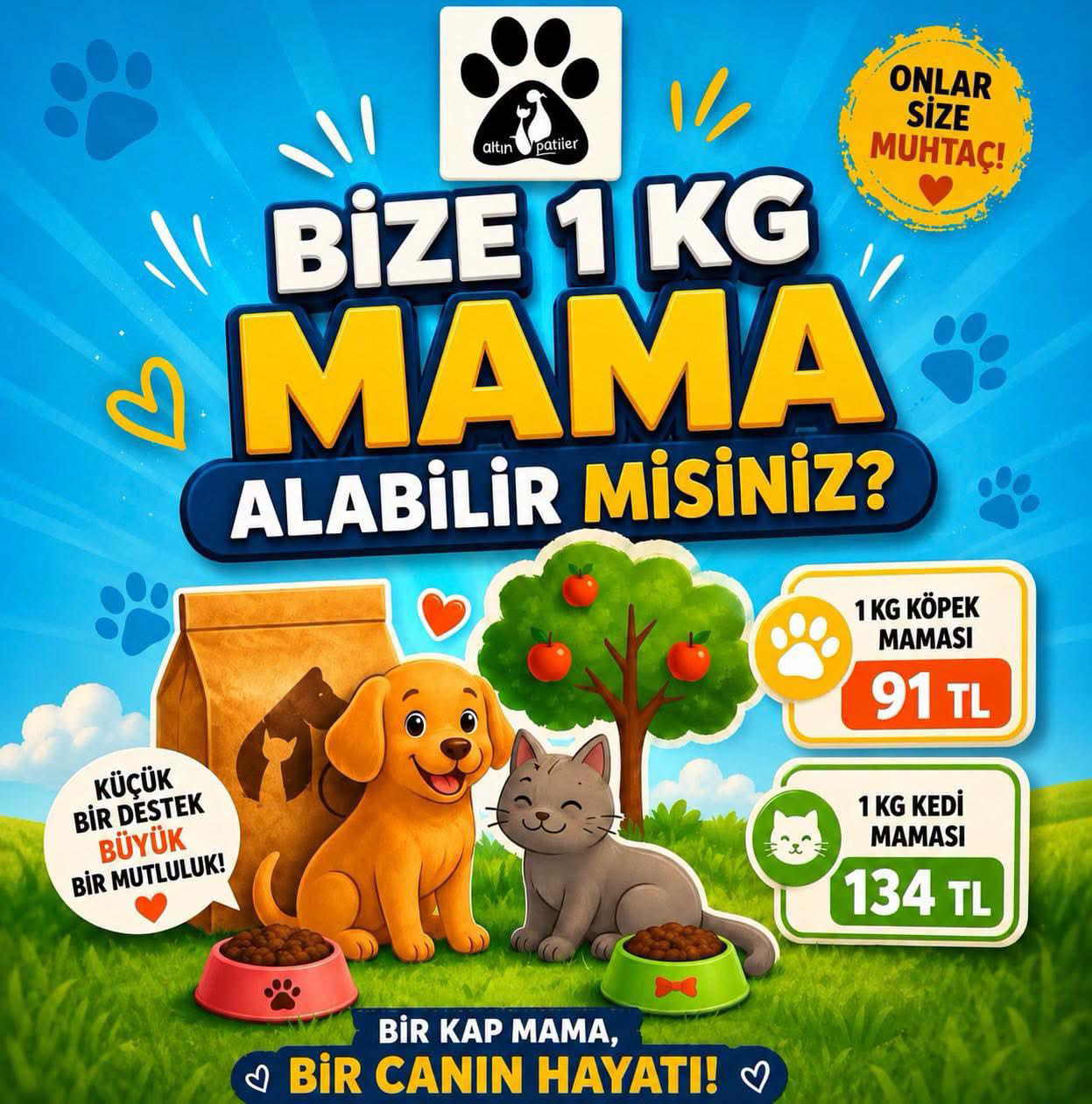 Destek Ol