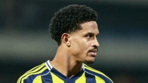 Sarı-lacivert çizgili formayla sahada duran bir futbolcu yüz profiliyle görünüyor.