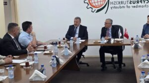 Toplantı masasında oturan beş kişi, önlerinde Türk bayraklı ve su şişeli sunum masasında görüşme yapıyor.