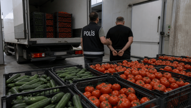 Kaçak domates ve salatalık operasyonu: 1 tutuklu
