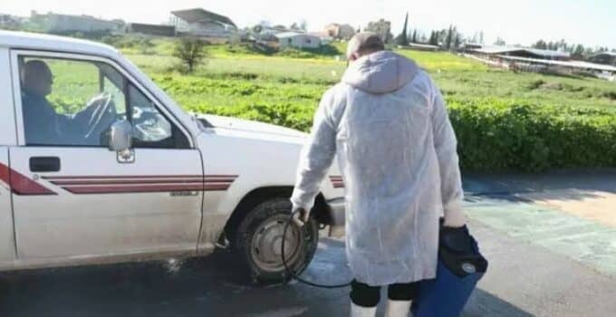 Güney Kıbrıs’ta şap hastalığı denetim altında