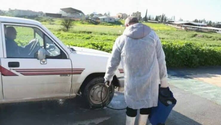 Güney Kıbrıs’ta şap hastalığı denetim altında