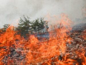Güney Kıbrıs’ta yangın önleme için yapay zeka sistemi kurulacak