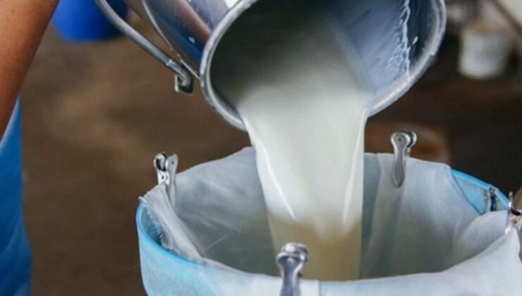 Süt Bedellerinin Ödemesi Yapıldı